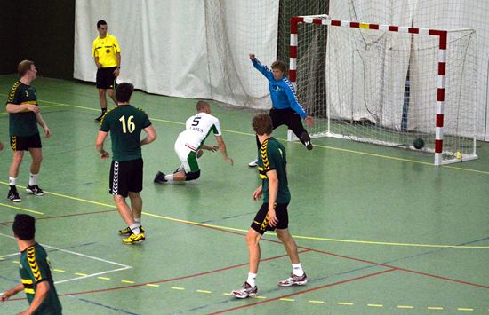 Men's handball