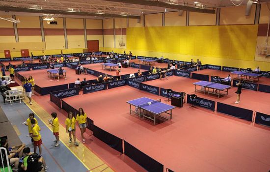 Table Tennis sports venue