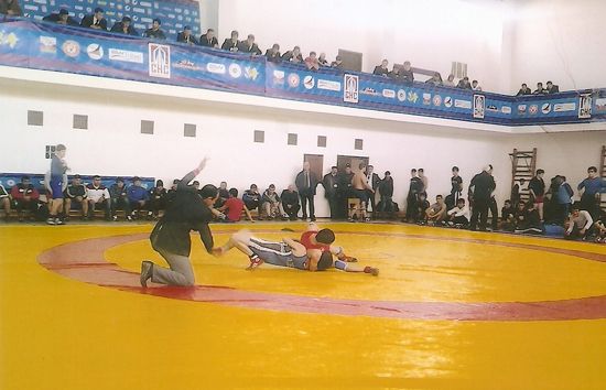 Wrestling competitions