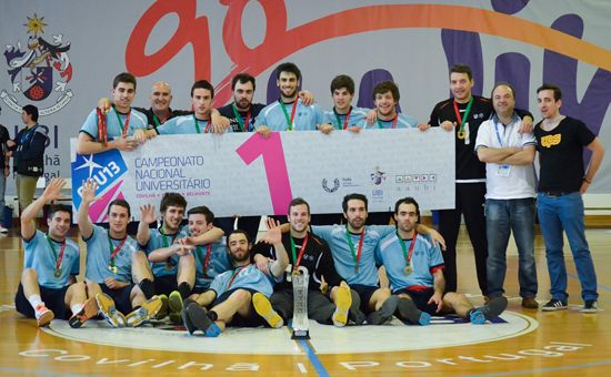 Handball champions (men)