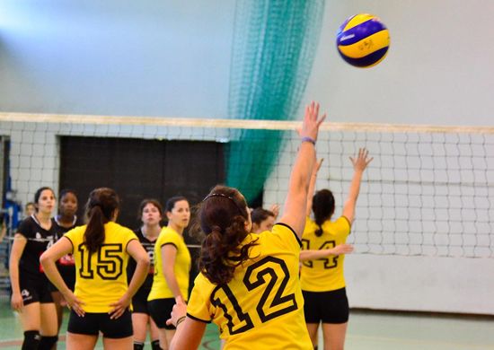 From women's volleyball matches