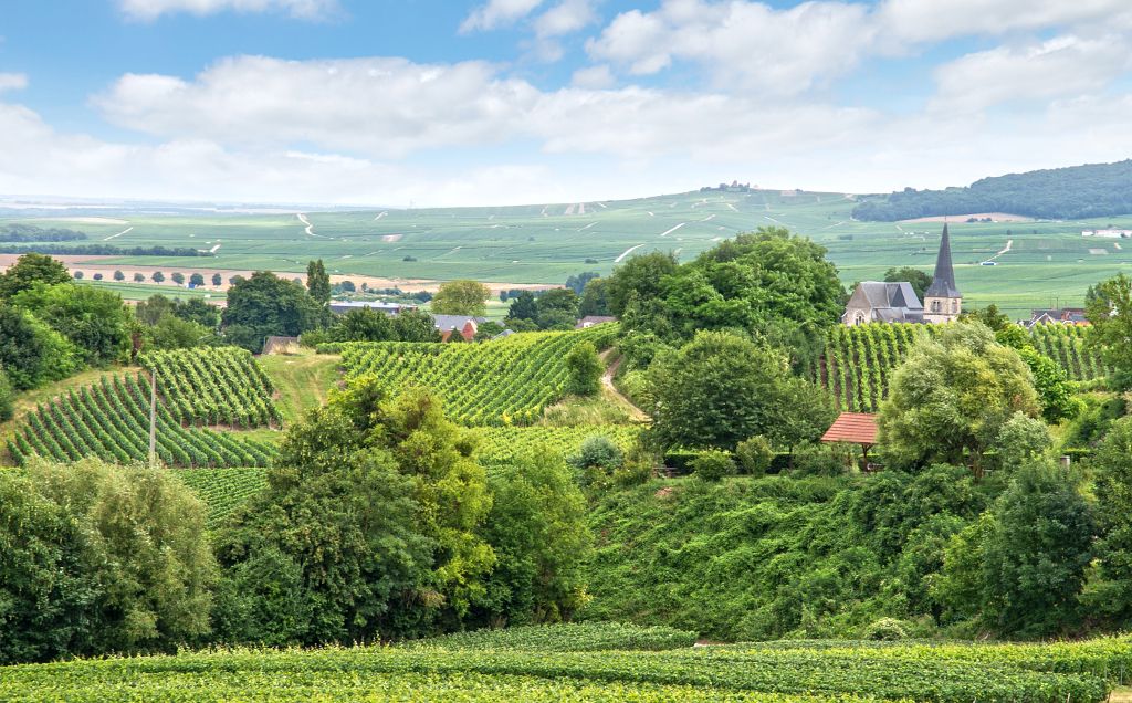 Scenery of the Champagne-Ardenne region