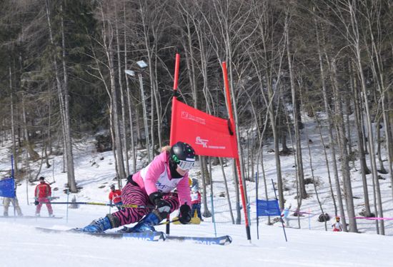 Alpine skiing